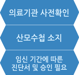 임산부의 항공여행